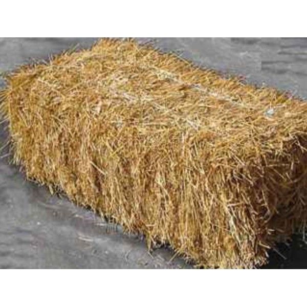 Botte de Paille
