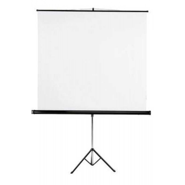 Ecran 2X2 m