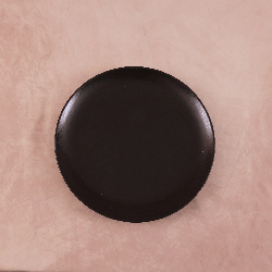 Assiette Plate Karbon 27cm