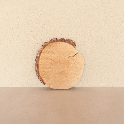 Rondin de bois 30x2.5 cm