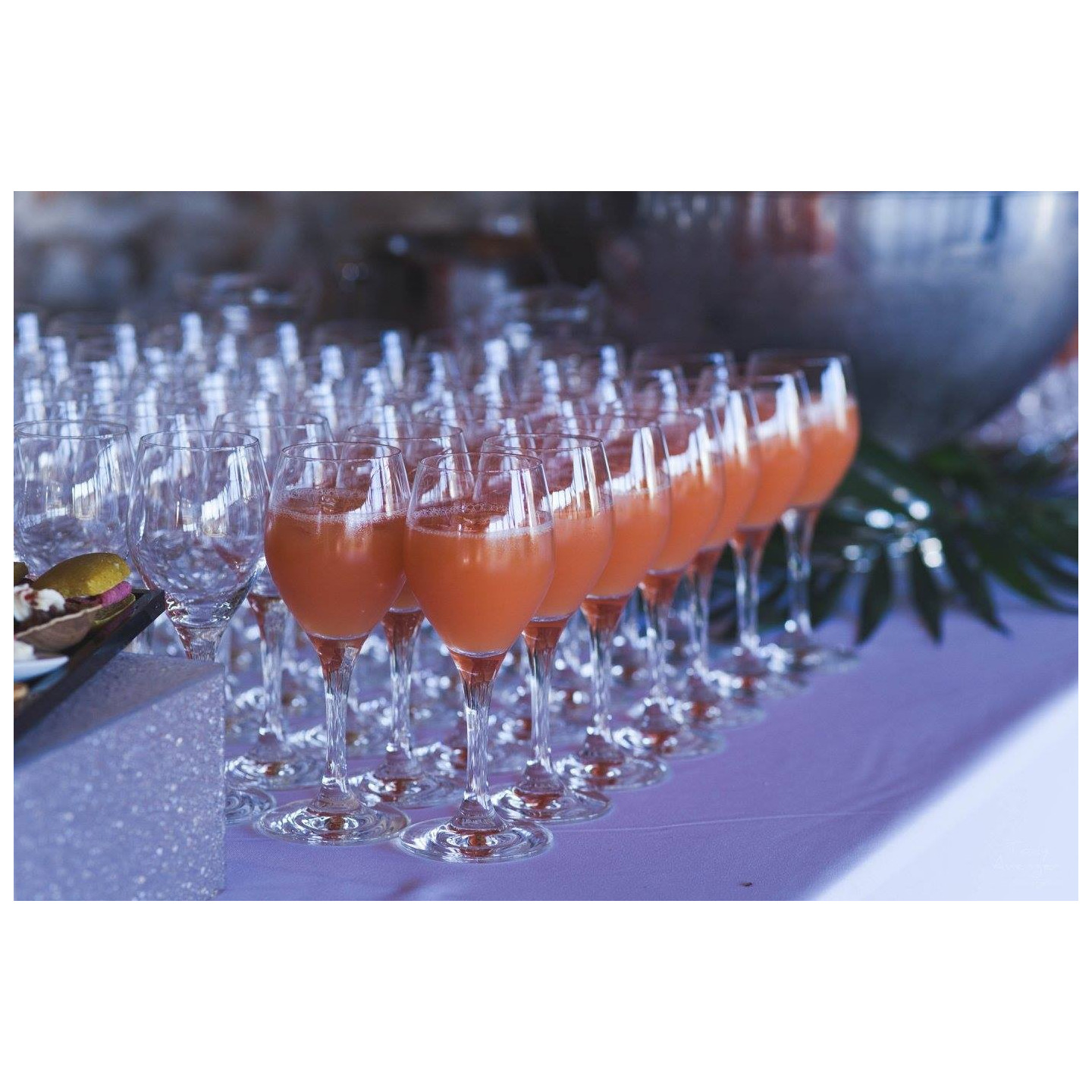 Verre à eau Constance 25 cl